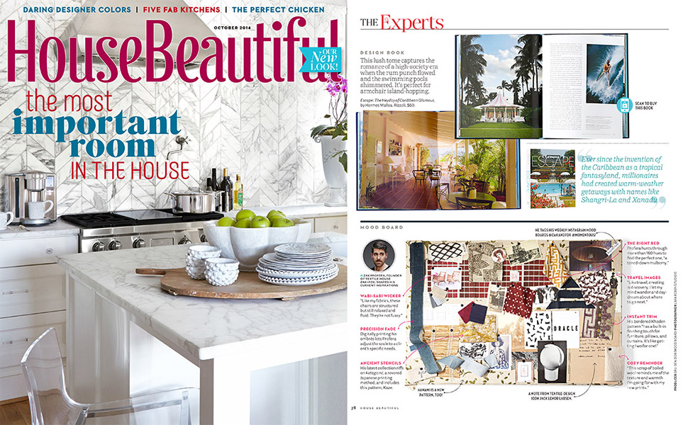 Cover ZAK+FOX HB Zak Profera Interior Design Designer Expert-designbook-hi
