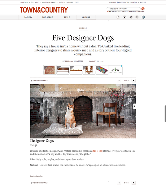 Interior Designer Dogs Designer Dogs at Home Town Country