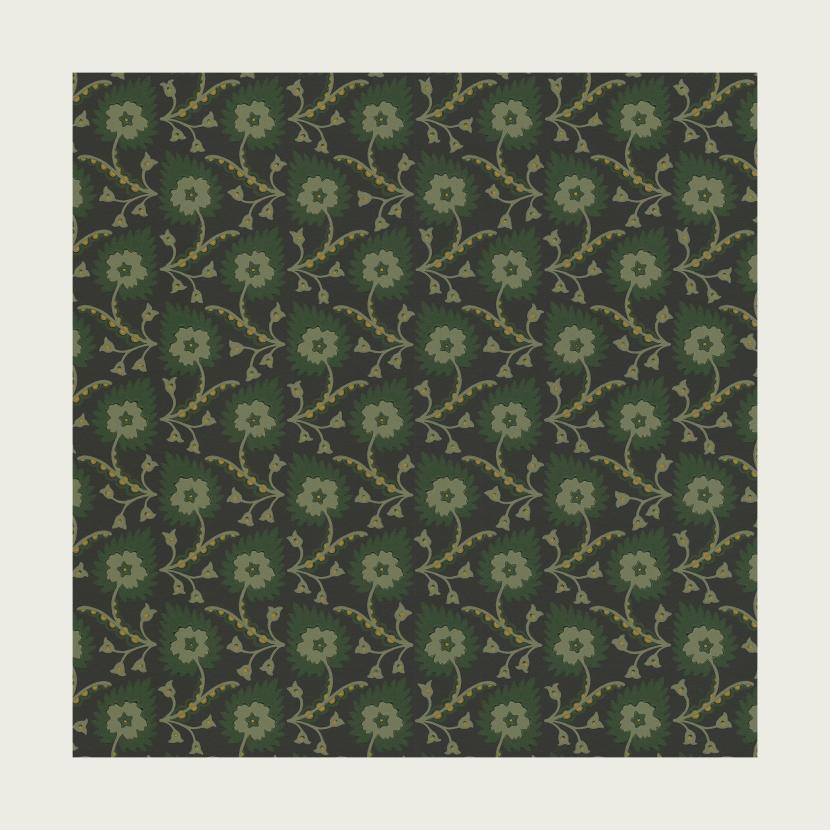 BETULA - 03