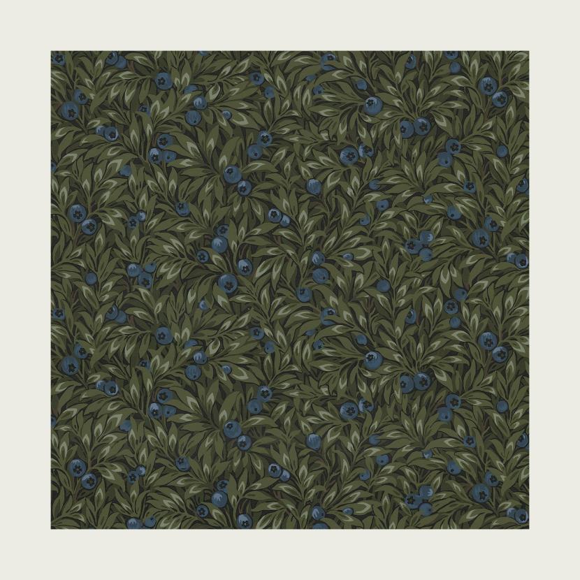 BILBERRY - 01