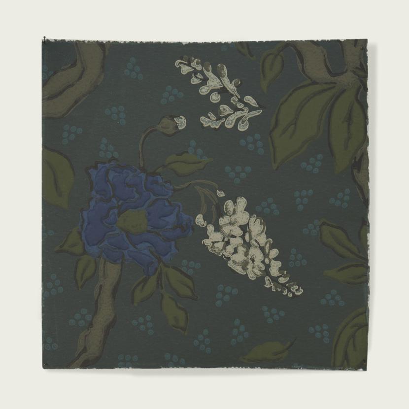 LES BAOBABS AMOUREUX - 04